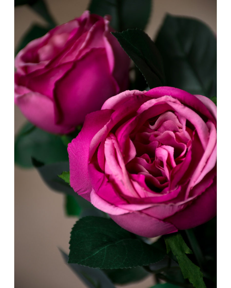 26" Cabbage Rose Silk Flower Stem