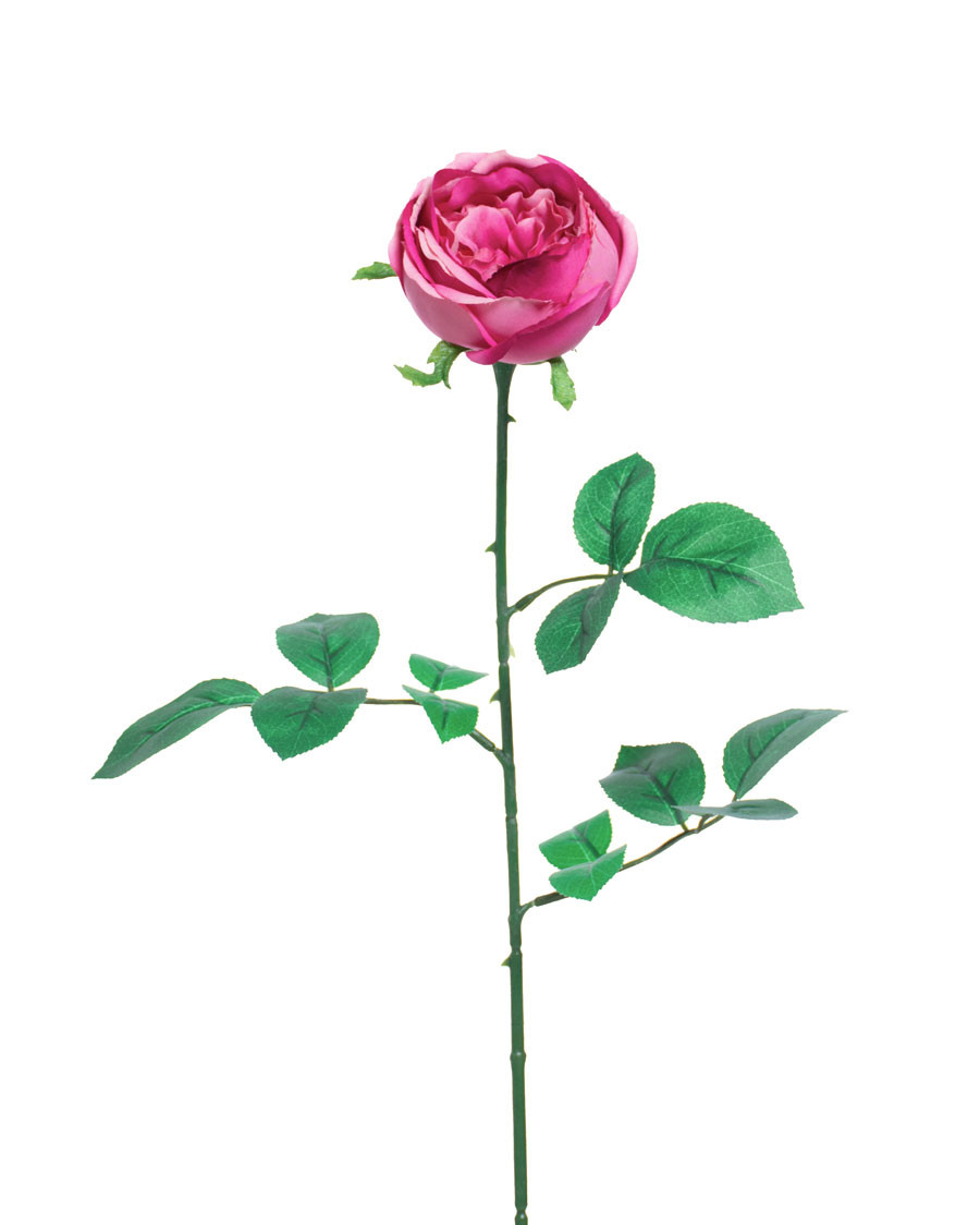 26" Cabbage Rose Silk Flower Stem