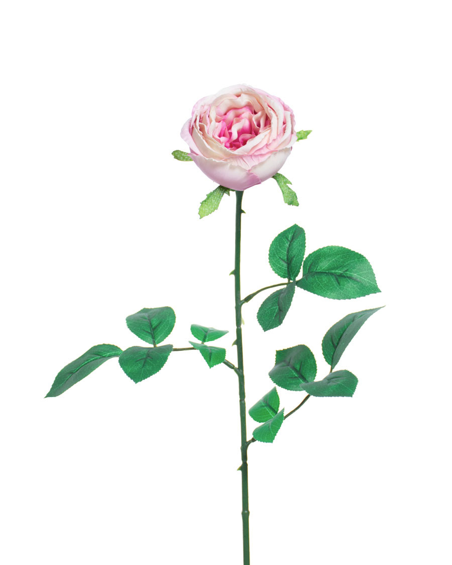 26" Cabbage Rose Silk Flower Stem