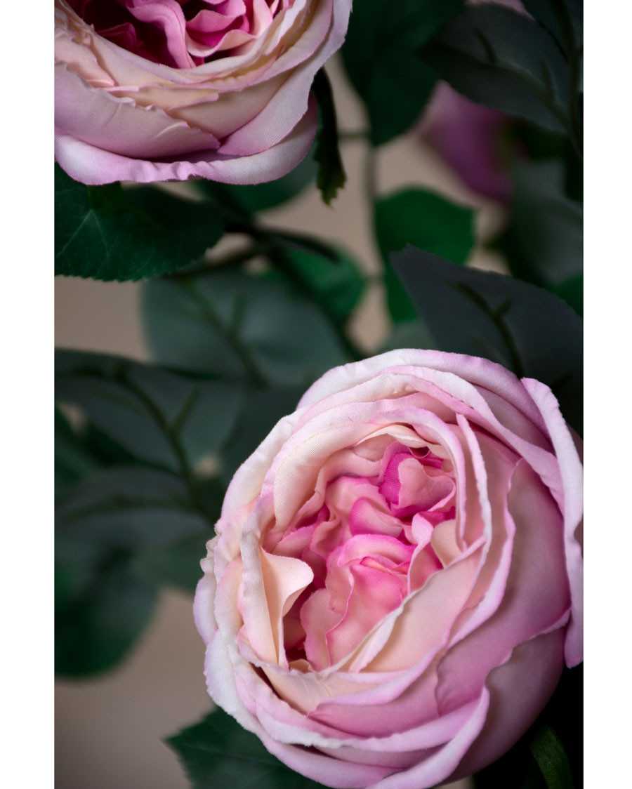 26" Cabbage Rose Silk Flower Stem
