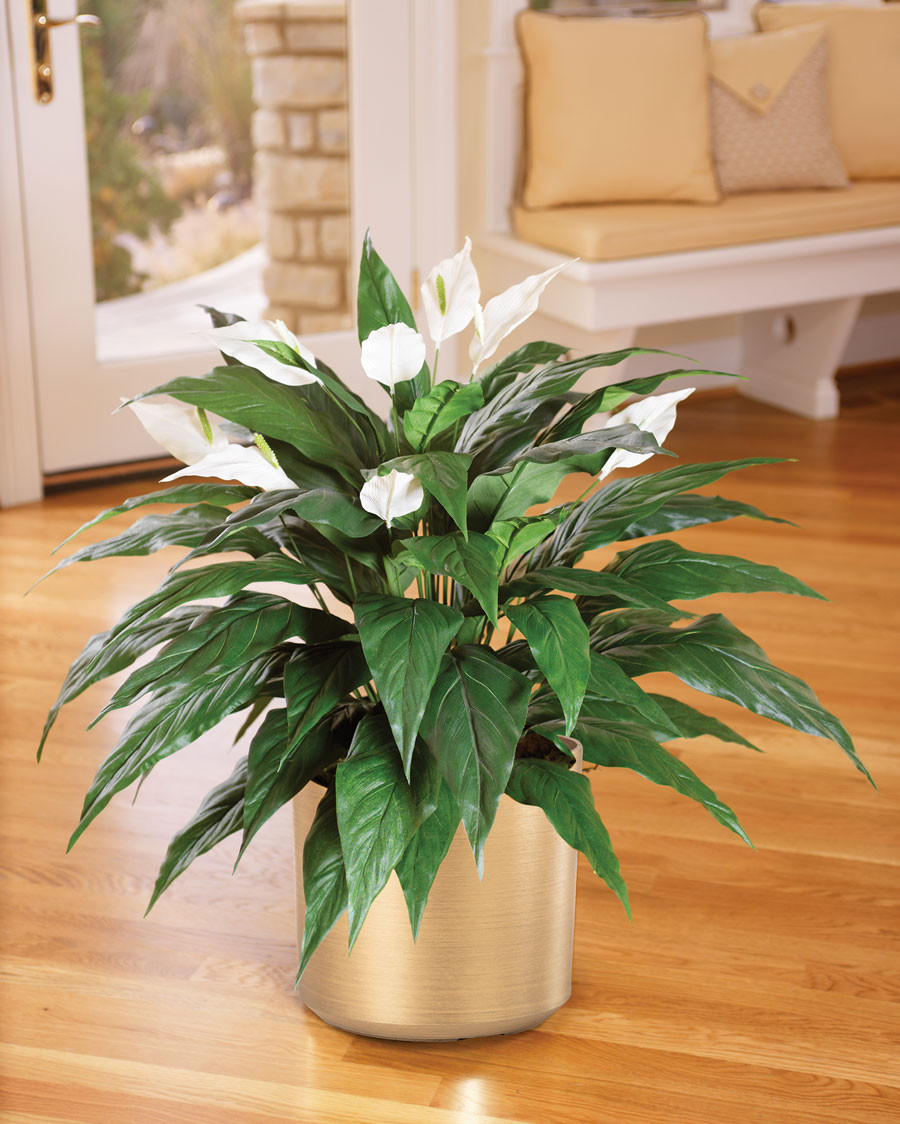 Spathiphyllum Silk Floor Plant