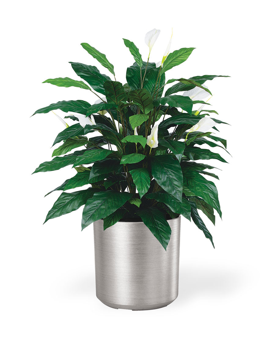Spathiphyllum Silk Floor Plant