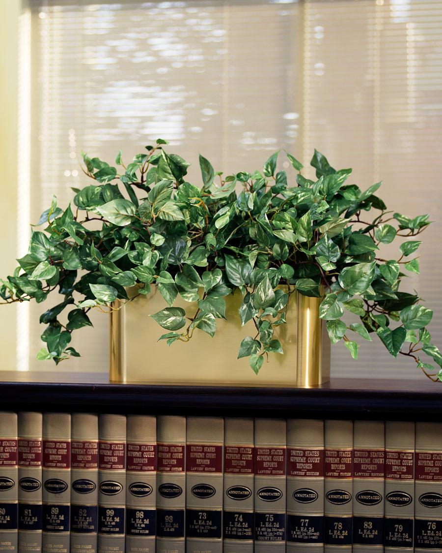 Courtyard Pothos Silk Planter