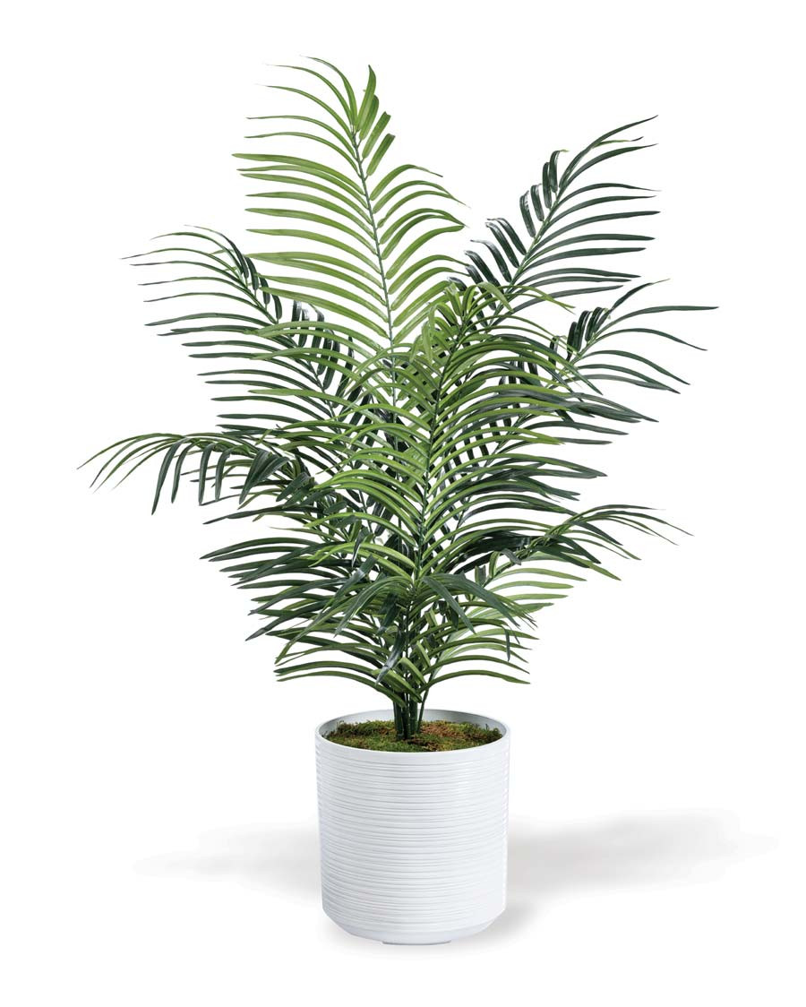 Faux Areca Palm Plant