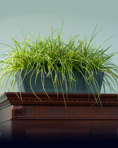 Faux Kenwood Grass Armoire Planter