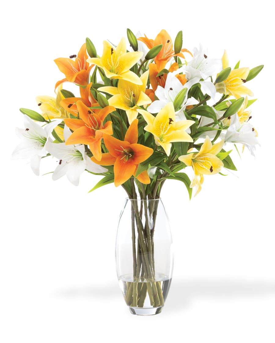 Luscious Lilies