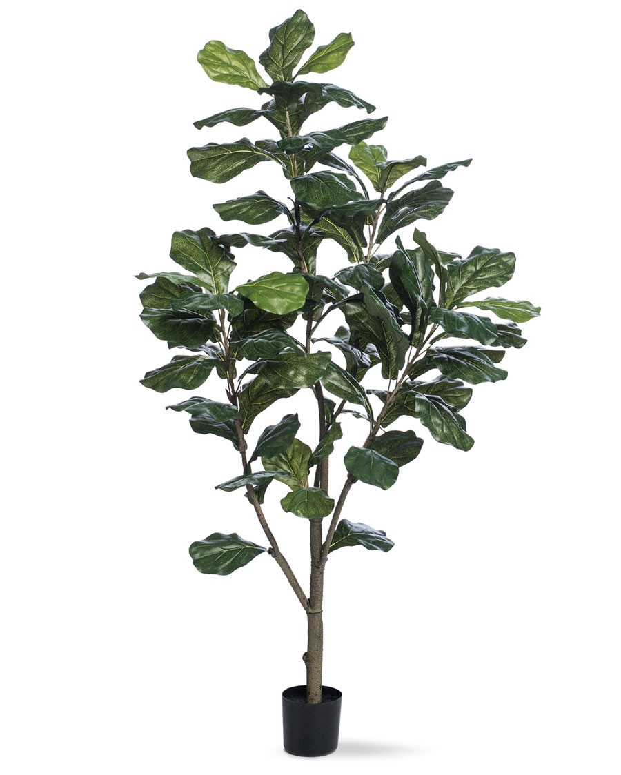 5' Single Trunk Fiddle Leaf Fig Silk Tree 3 5' Single Trunk Fiddle Leaf Fig Silk Tree