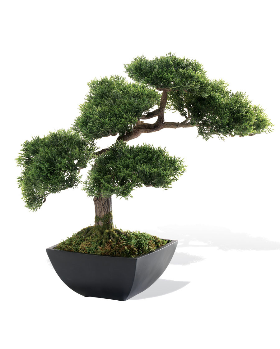 Cypress Bonsai Artificial Tree