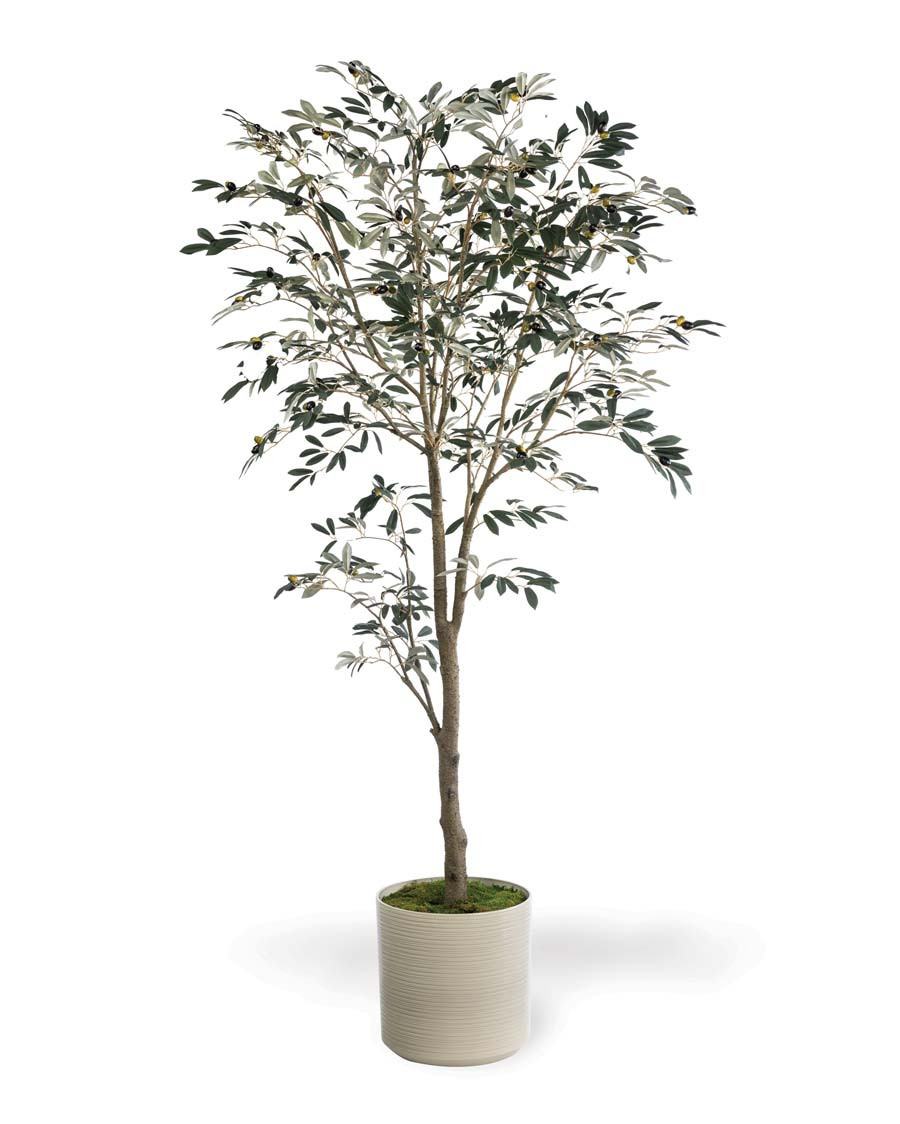 7' Silk Mediterranean Olive Tree