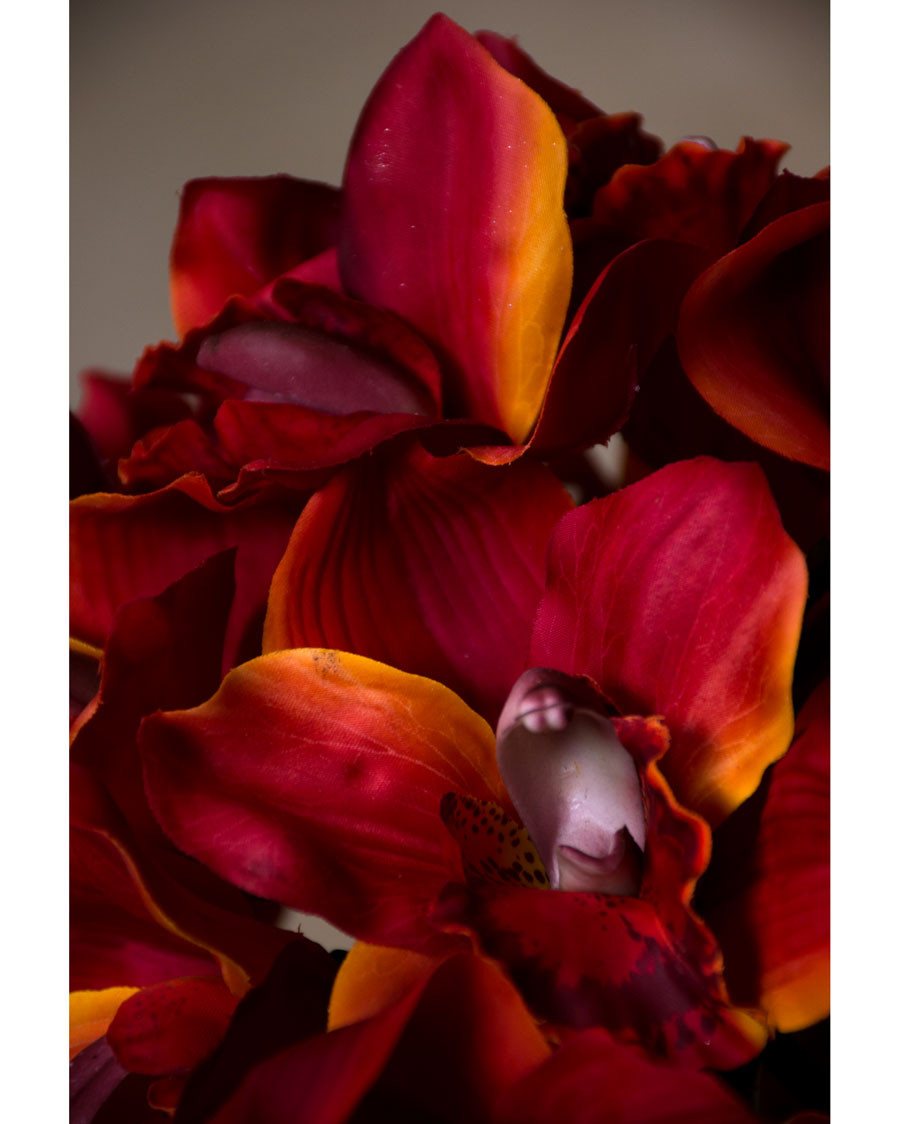11" Artificial Cymbidium Orchid Flower Stem