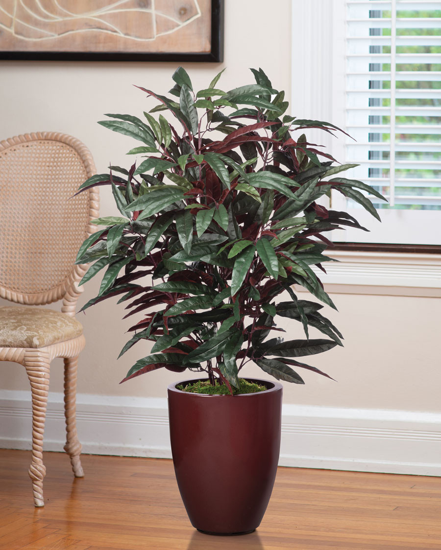 Faux Mango Plant