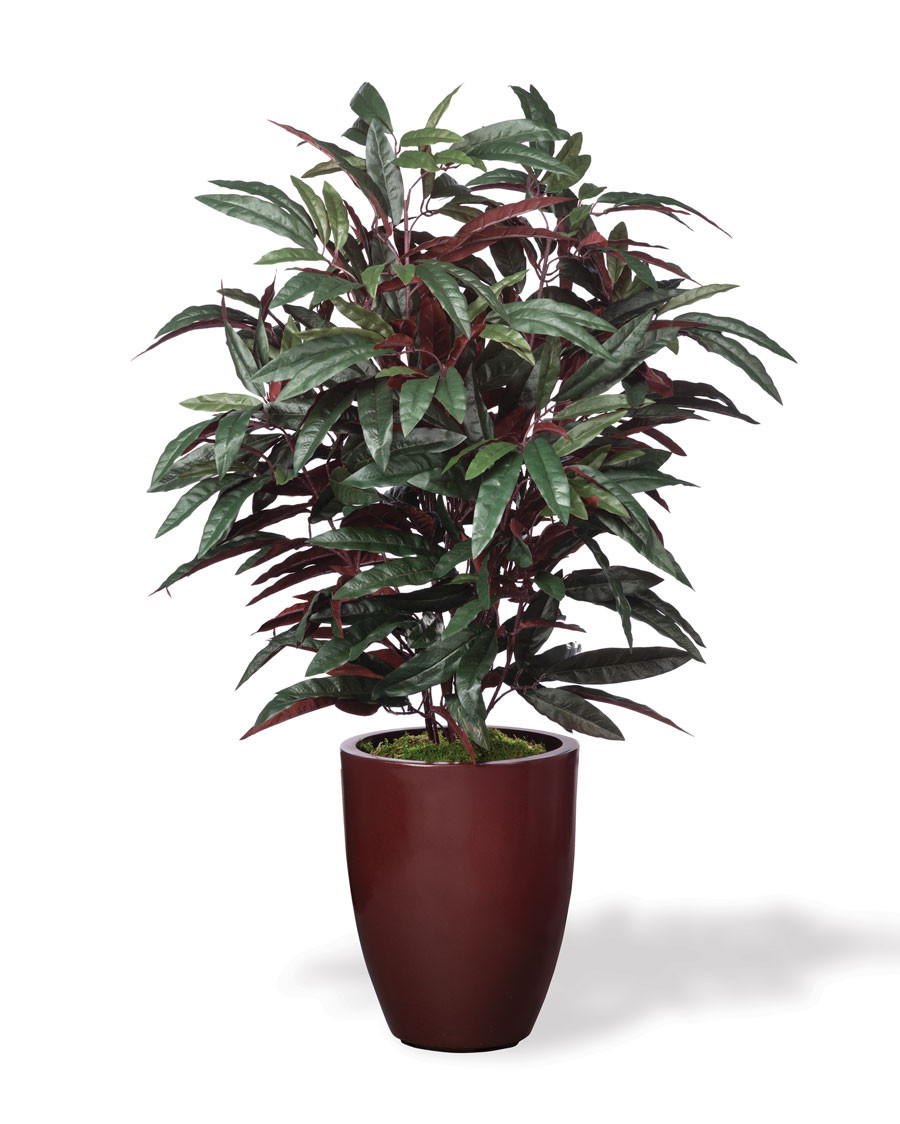 Faux Mango Plant
