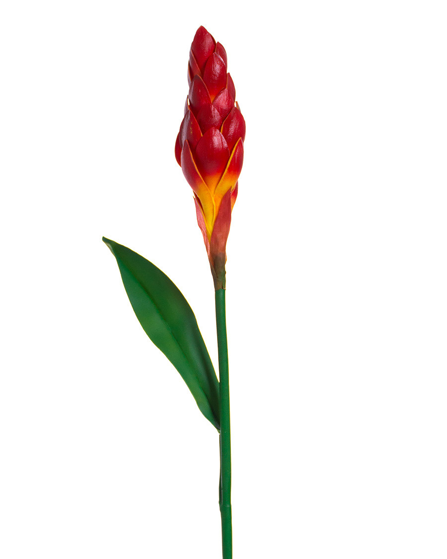 31" Artificial Torch Ginger Stem
