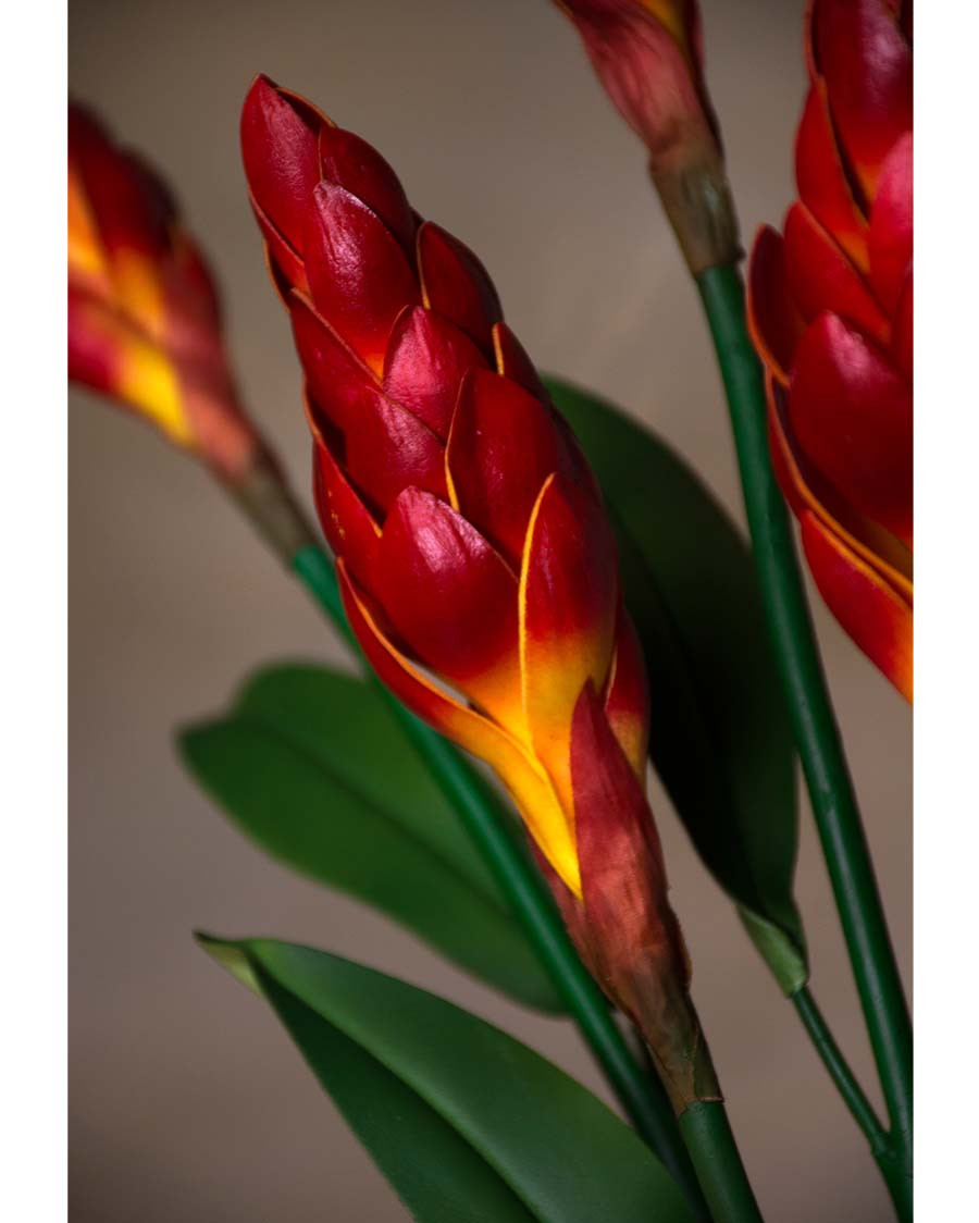 31" Artificial Torch Ginger Stem