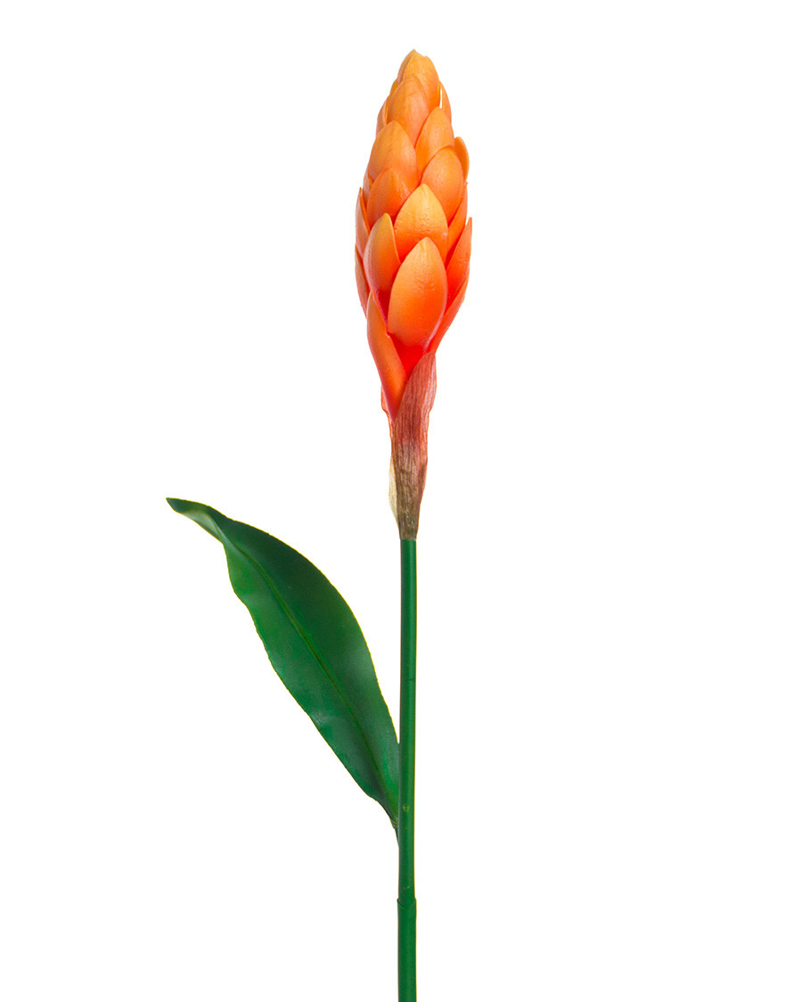 31" Artificial Torch Ginger Stem