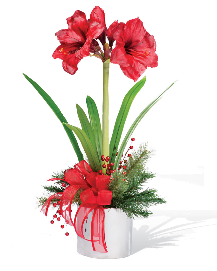 Amaryllis Silk Flower Arrangement