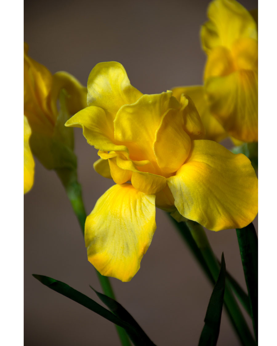 28" Faux Iris Flower Stem