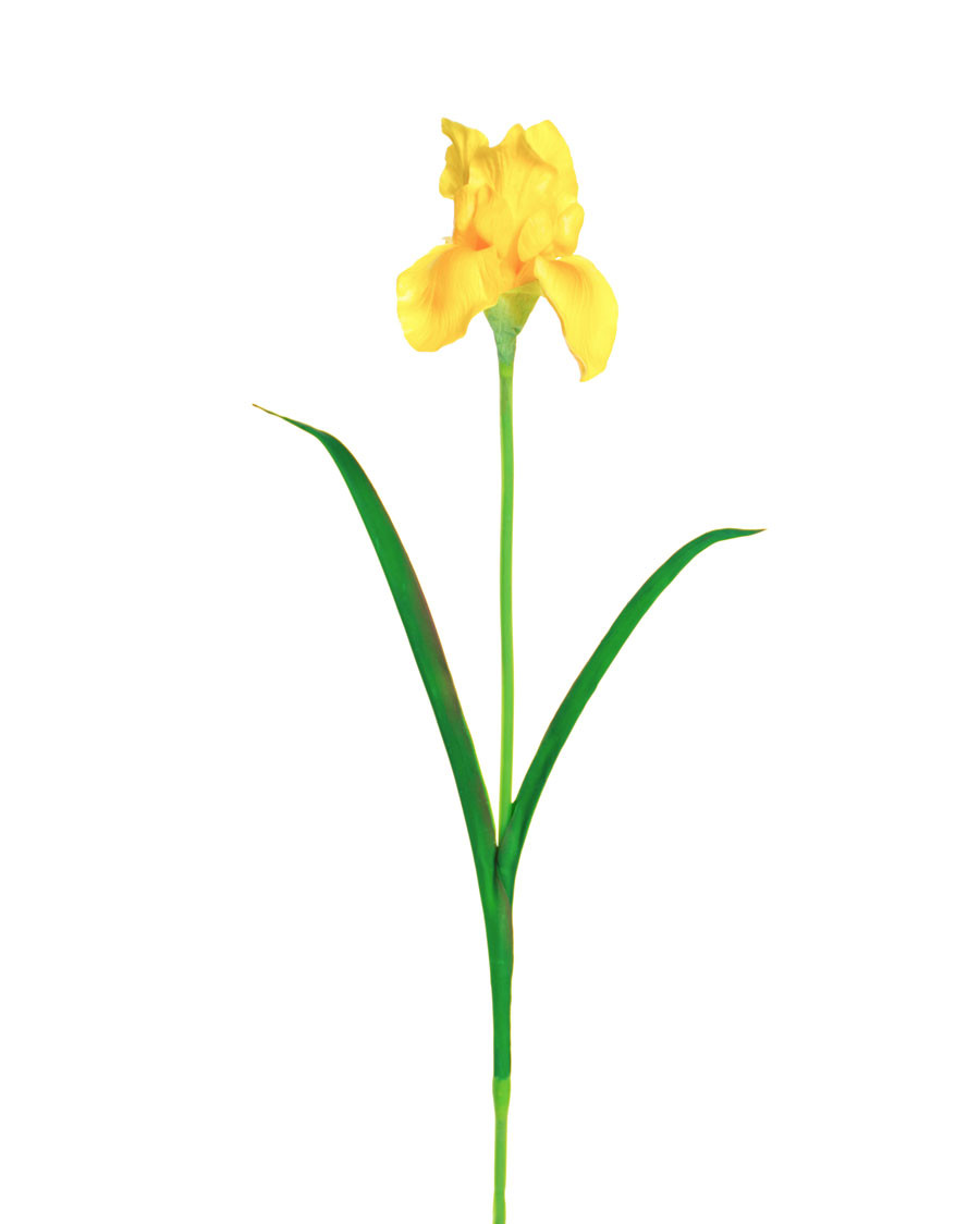 28" Faux Iris Flower Stem