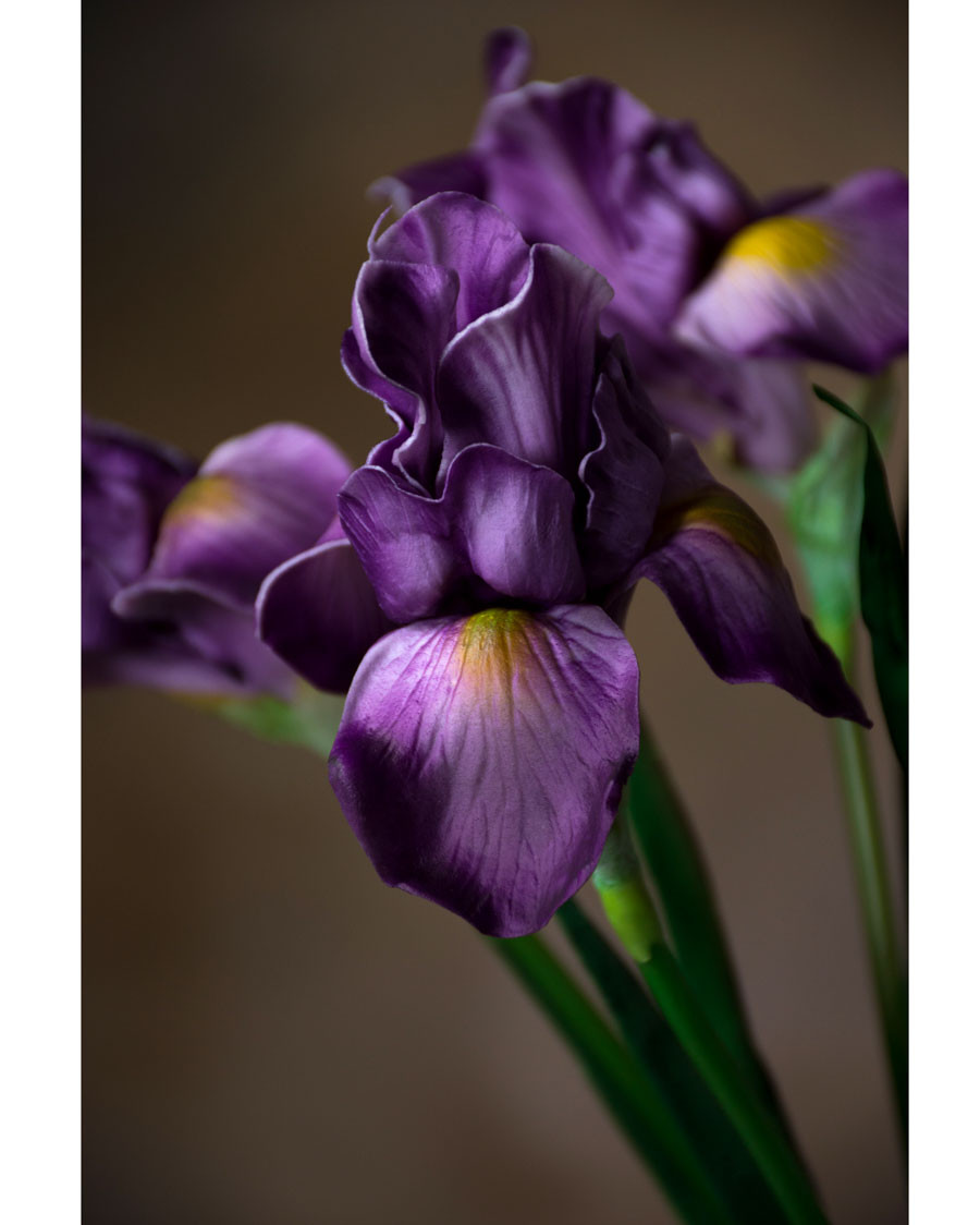 28" Faux Iris Flower Stem