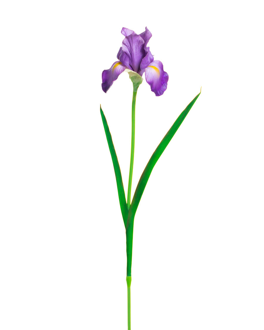 28" Faux Iris Flower Stem