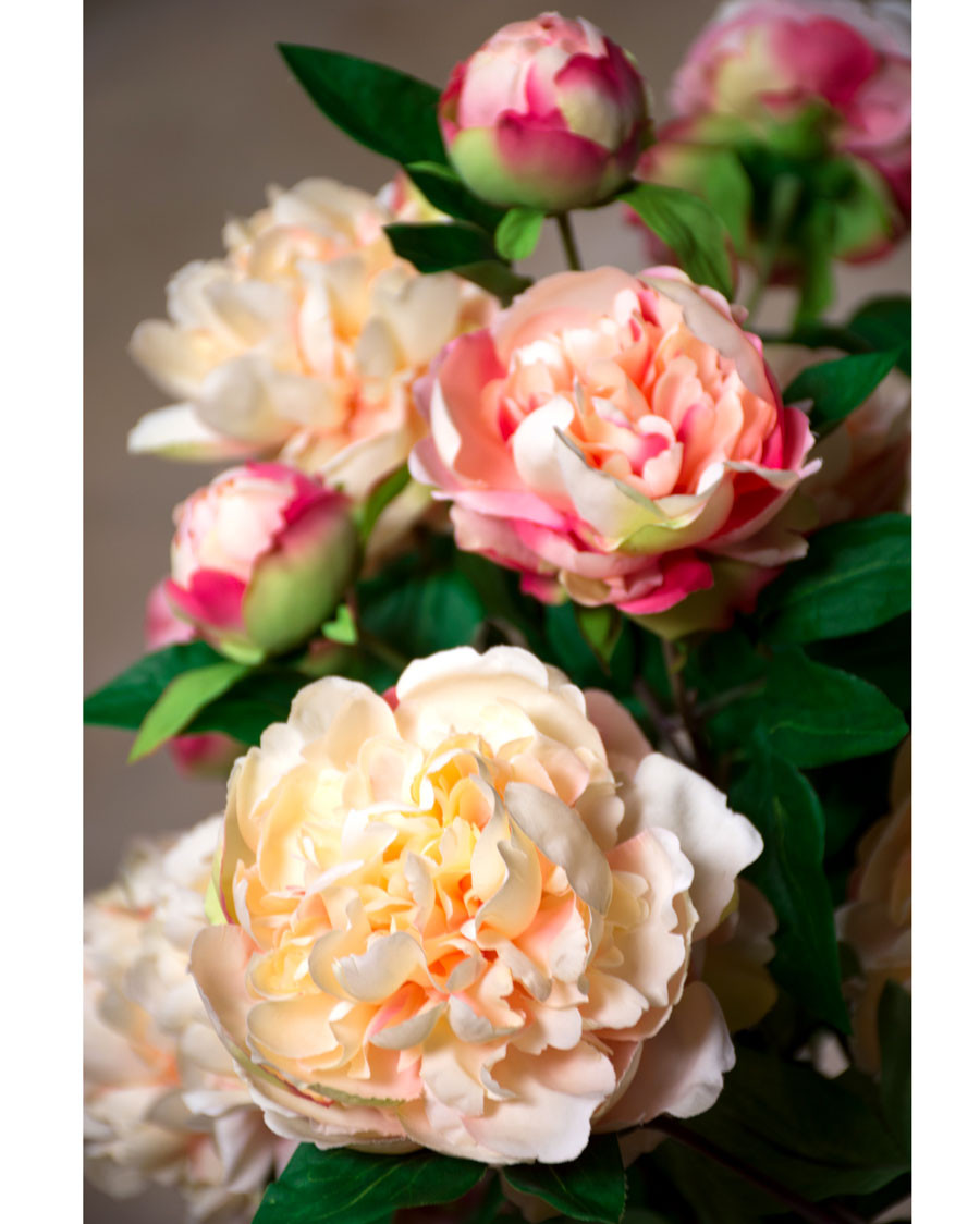 29" Peony Faux Flower Stem Spray