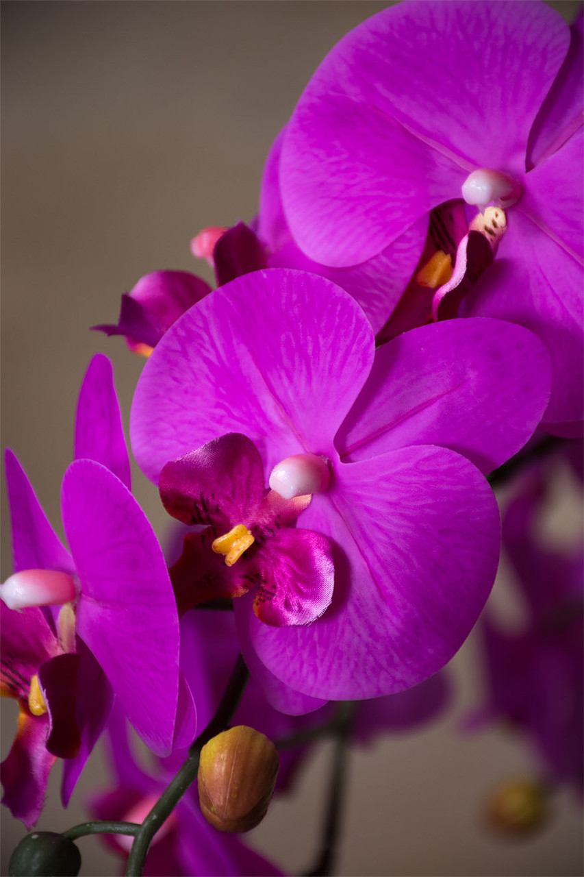 35" Floppy Phalaenopsis Faux Orchid Stem
