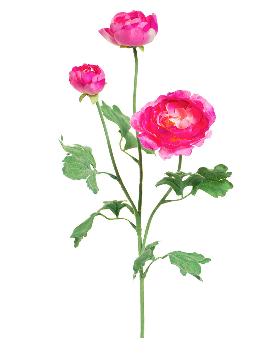 25" Fluffy Ranunculus Silk Flower Stem Spray