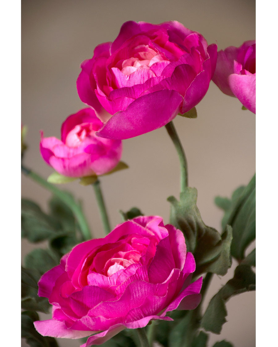 25" Fluffy Ranunculus Silk Flower Stem Spray