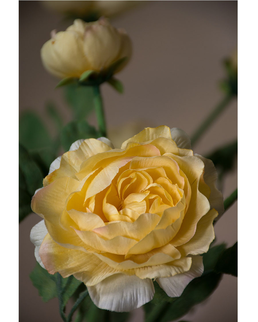 25" Fluffy Ranunculus Silk Flower Stem Spray