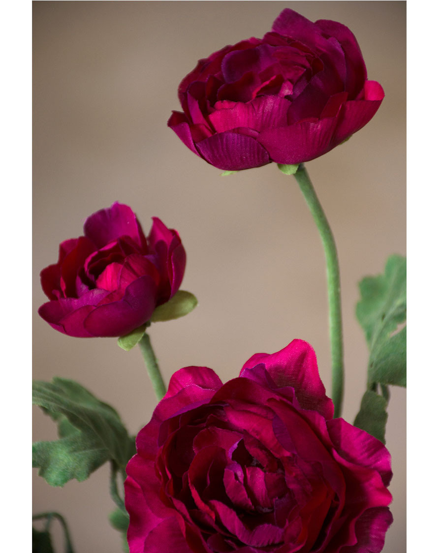 25" Fluffy Ranunculus Silk Flower Stem Spray