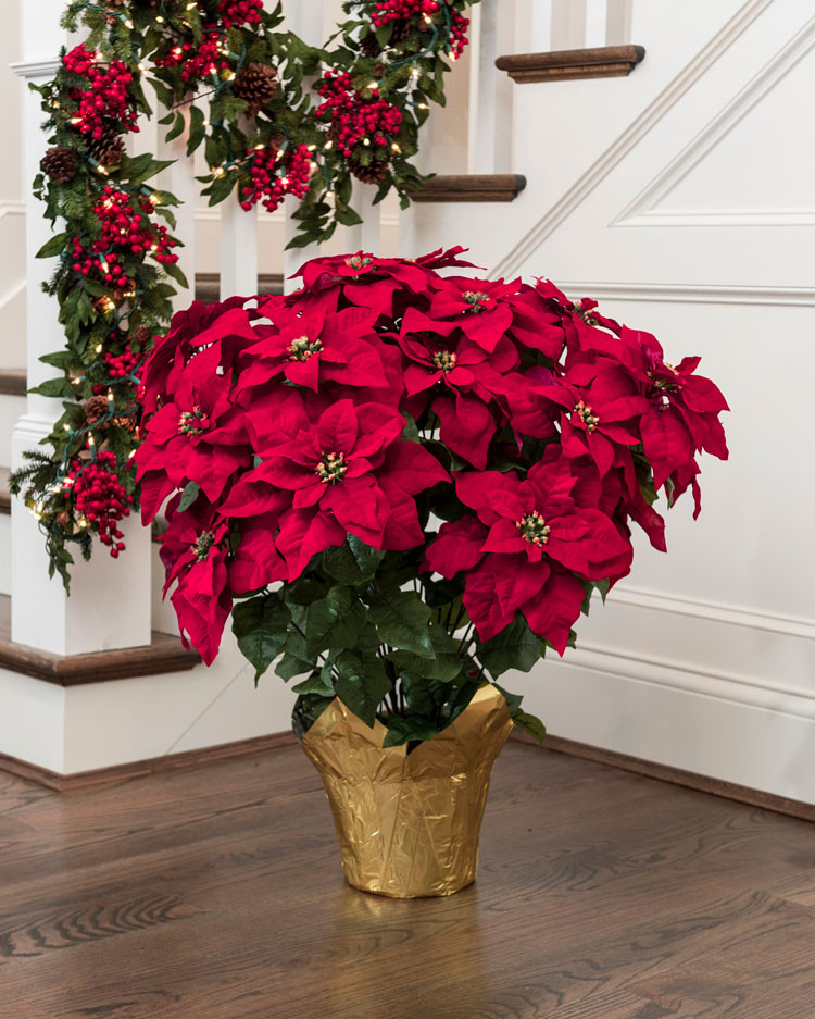 Premier Silk Poinsettia - Extra Large