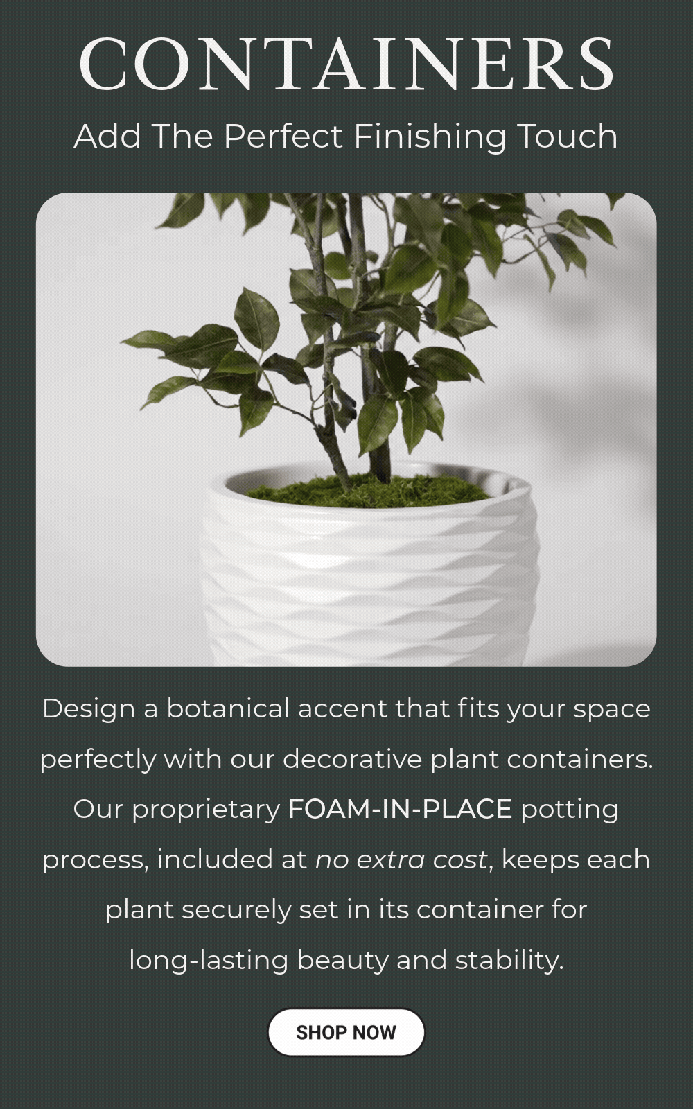 container 1000 1600