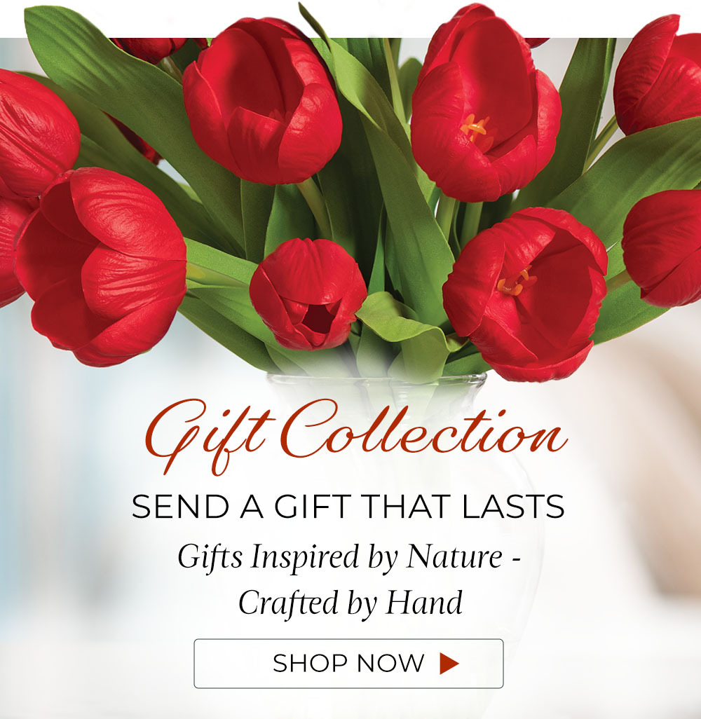 m hp mini strip gift collection